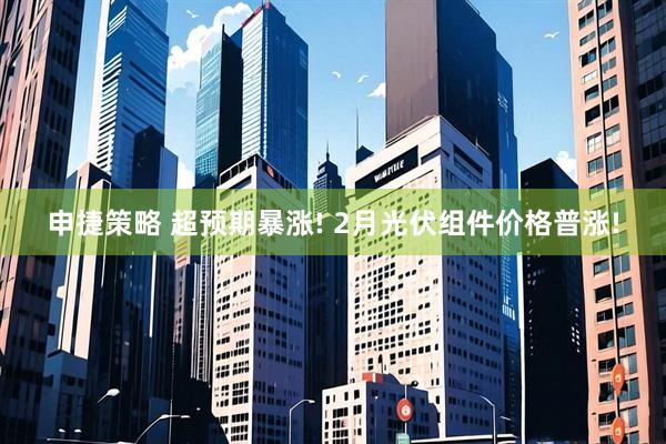 申捷策略 超预期暴涨! 2月光伏组件价格普涨!
