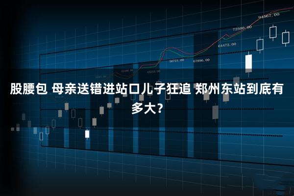 股腰包 母亲送错进站口儿子狂追 郑州东站到底有多大？