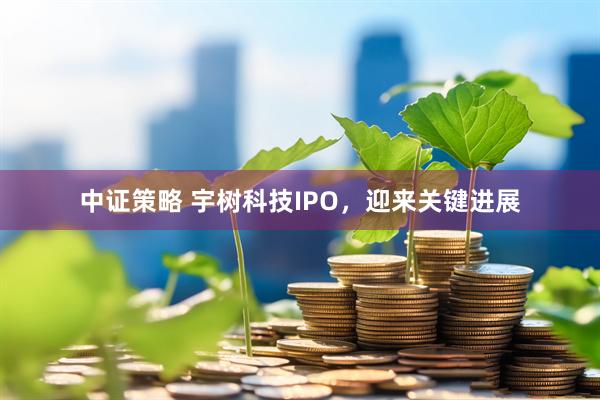 中证策略 宇树科技IPO，迎来关键进展