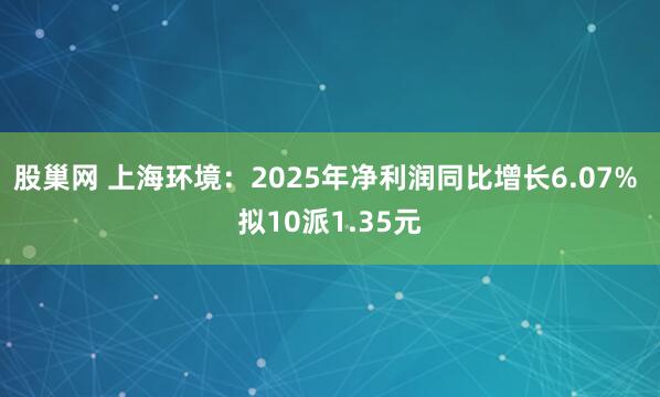 股巢网 上海环境：2025年净利润同比增长6.07% 拟10派1.35元