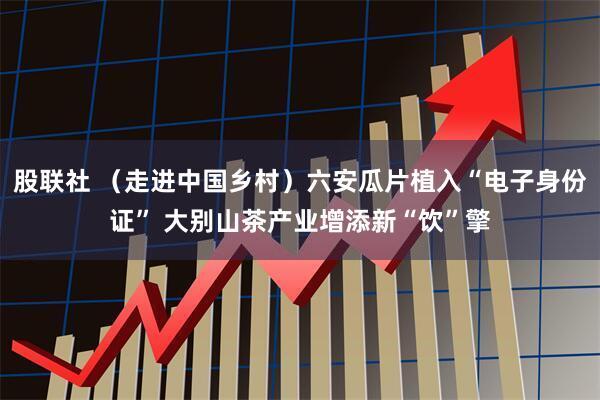股联社 （走进中国乡村）六安瓜片植入“电子身份证” 大别山茶产业增添新“饮”擎