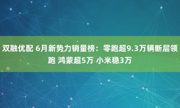 双融优配 6月新势力销量榜：零跑超9.3万辆断层领跑 鸿蒙超5万 小米稳3万