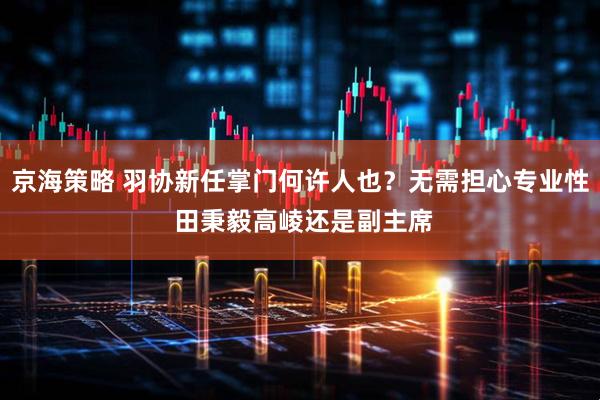 京海策略 羽协新任掌门何许人也？无需担心专业性 田秉毅高崚还是副主席