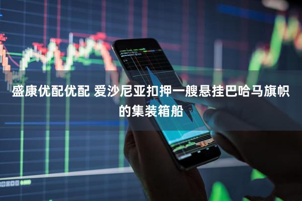 盛康优配优配 爱沙尼亚扣押一艘悬挂巴哈马旗帜的集装箱船