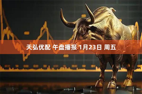 天弘优配 午盘播报 1月23日 周五