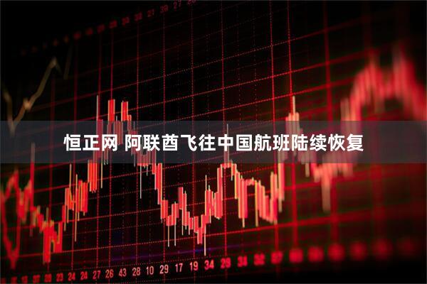 恒正网 阿联酋飞往中国航班陆续恢复