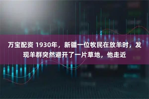 万宝配资 1930年，新疆一位牧民在放羊时，发现羊群突然避开了一片草地，他走近
