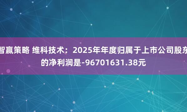 智赢策略 维科技术：2025年年度归属于上市公司股东的净利润是-96701631.38元
