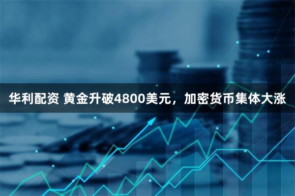 华利配资 黄金升破4800美元，加密货币集体大涨