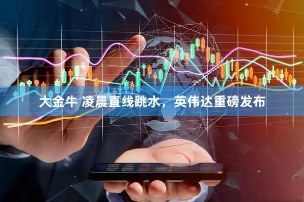 大金牛 凌晨直线跳水，英伟达重磅发布