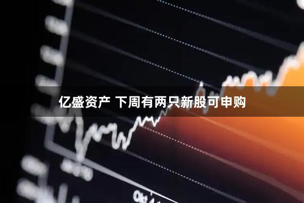 亿盛资产 下周有两只新股可申购