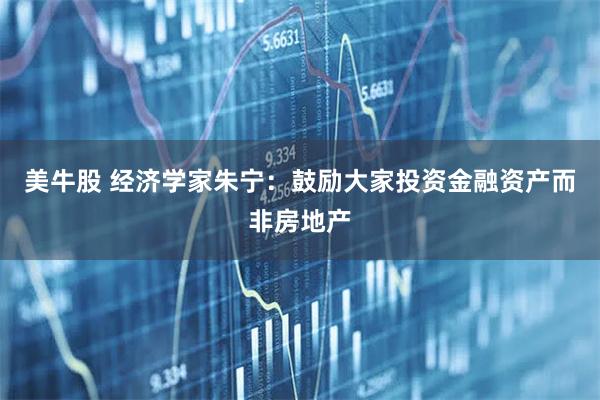 美牛股 经济学家朱宁：鼓励大家投资金融资产而非房地产